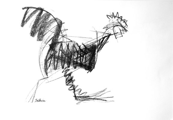 Cock Running, Charcoal